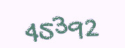 Security check